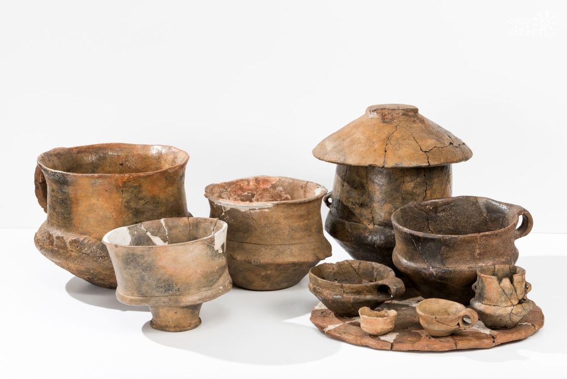 "Cmentarzysko kultury łużyckiej w Radomiu Wośnikach" "Cmentarzysko kultury łużyckiej w Radomiu Wośnikach"