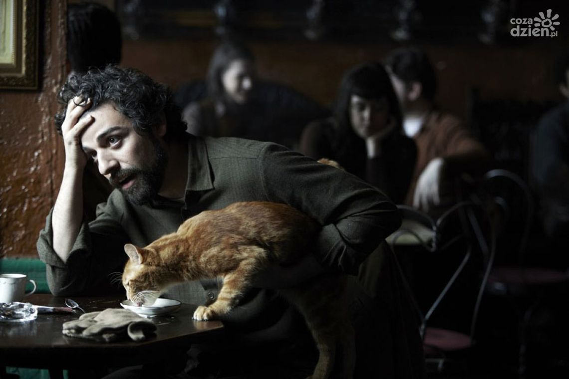 "Co jest grane, Davis?" Recenzja filmu "Co jest grane, Davis?" Recenzja filmu