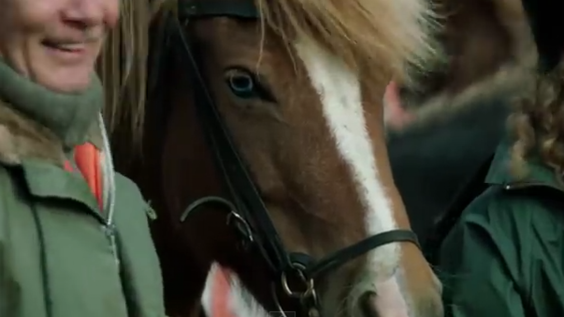 Co łączy człowieka z koniem?