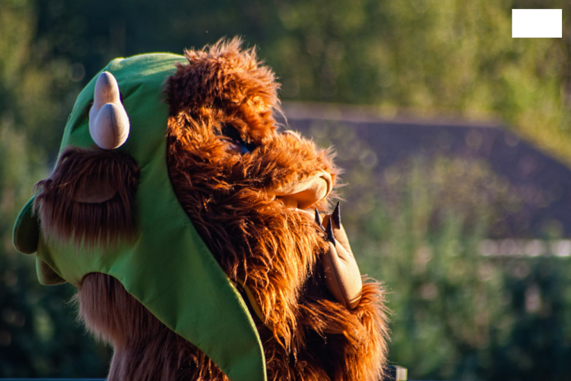 Co mają w piórniku Mordole?