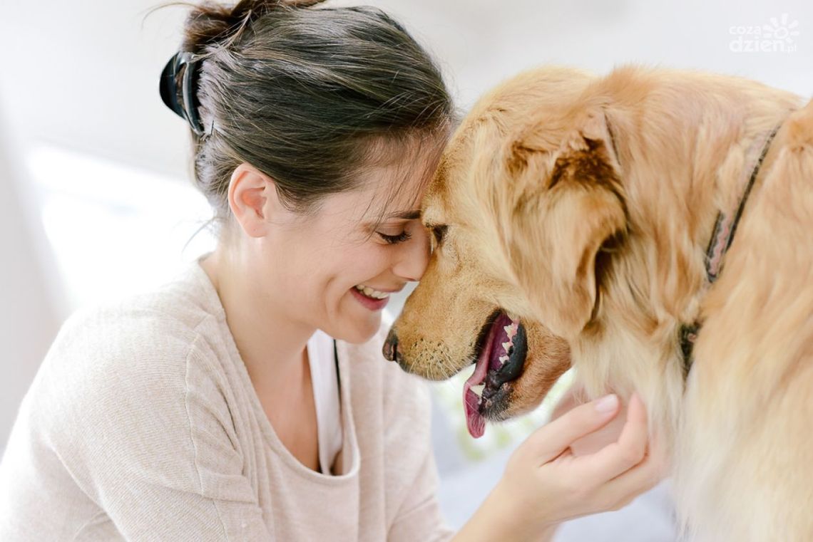 Co może, a czego nie powinien jeść pies?