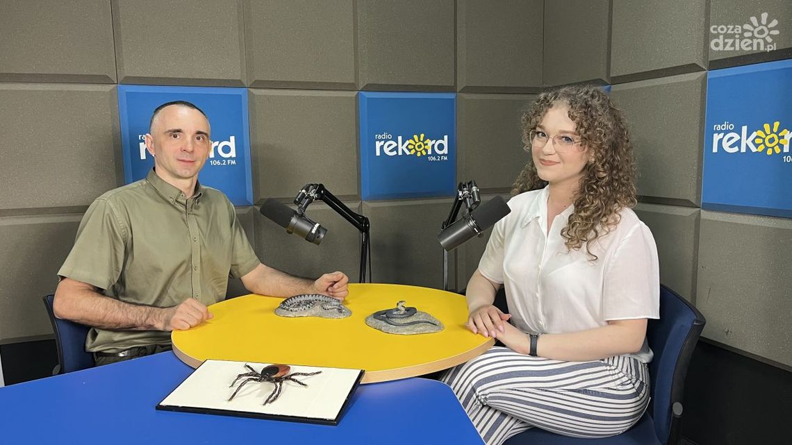 Co można przynieść na ubraniu z wycieczki do lasu?