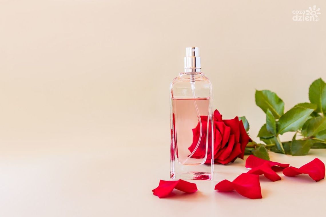 Co oferują próbki damskich perfum – zalety dekantów Co oferują próbki damskich perfum – zalety dekantów