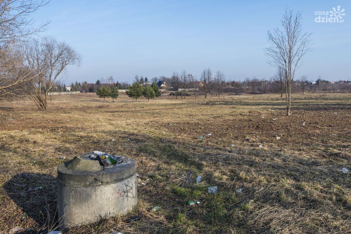 Co powstanie na Brzustówce?