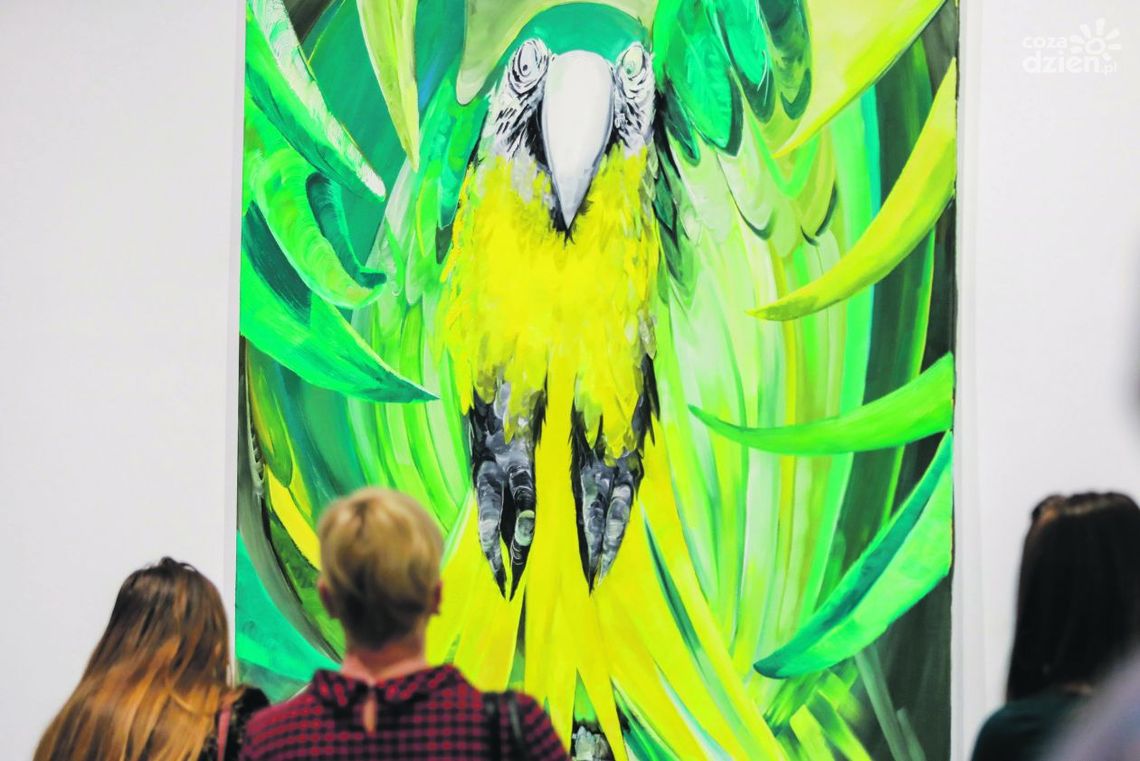 Co robić w weekend? 