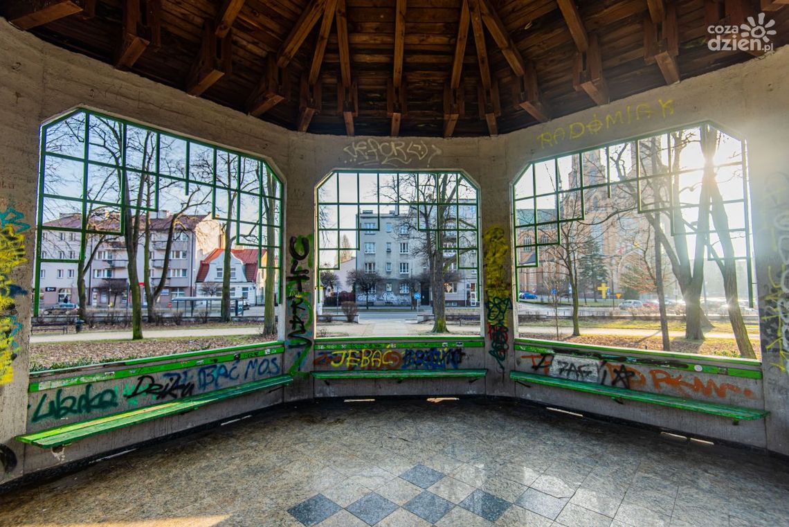 Co się dzieje w parku?