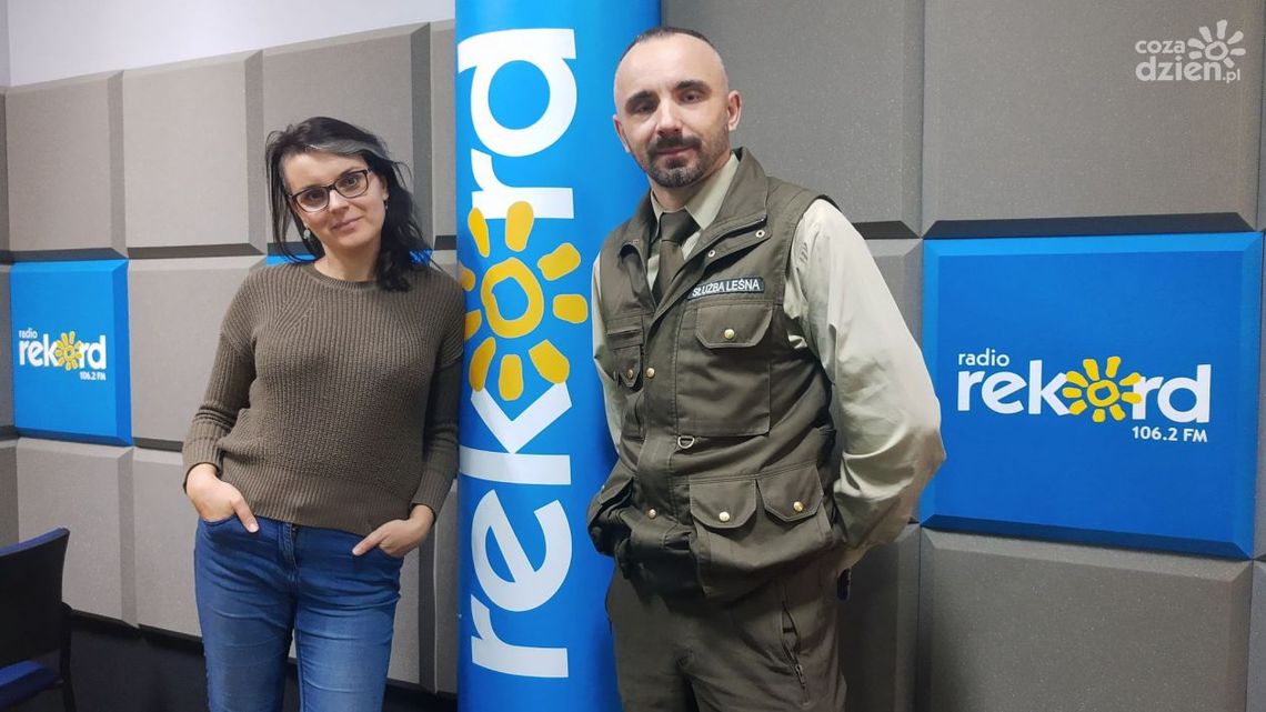 Co słychać w lesie w listopadzie? Co słychać w lesie w listopadzie?