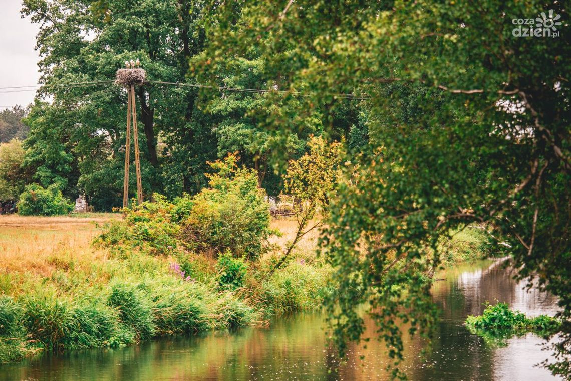Co Za jazda! do Białobrzegów. Sprawdźcie trasę Co Za jazda! do Białobrzegów. Sprawdźcie trasę