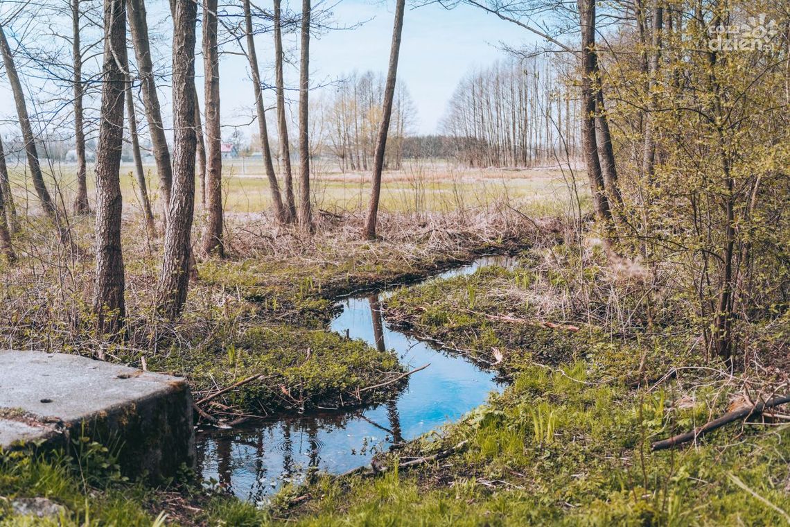 Co Za Jazda! do Jastrzębi 2022. Trasa (zdjęcia)