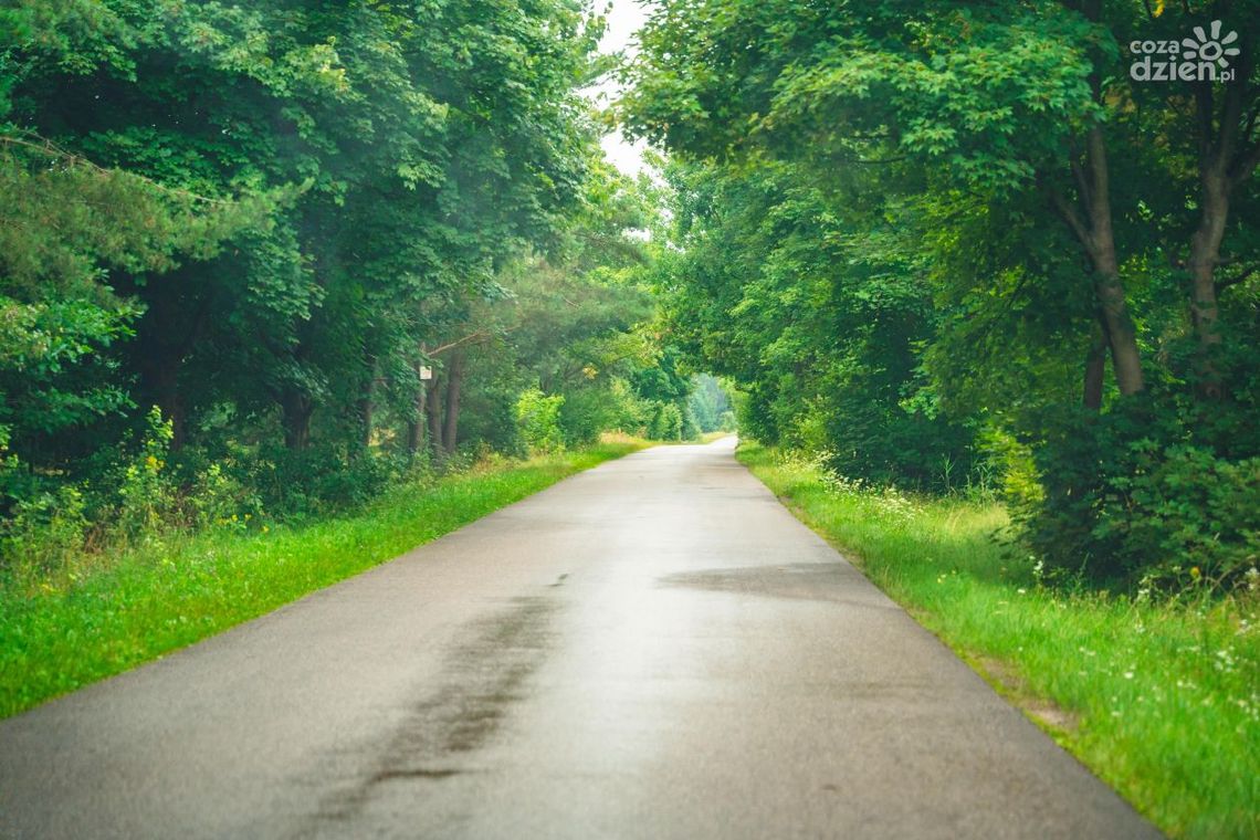 Co Za Jazda! do Szydłowca