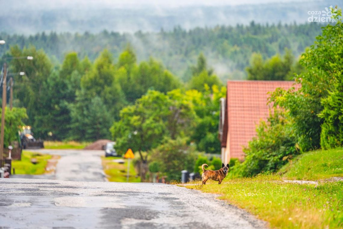 Co Za Jazda! do Szydłowca. Zobacz trasę [zdjęcia]