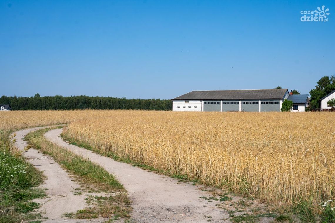Co Za Jazda! Domaniów. Jak wygląda trasa?