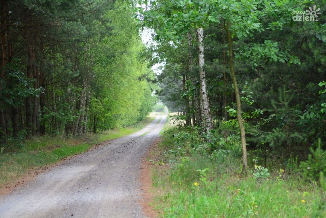 Co Za Jazda! - mapa trasy do Bieniędzic Co Za Jazda! - mapa trasy do Bieniędzic