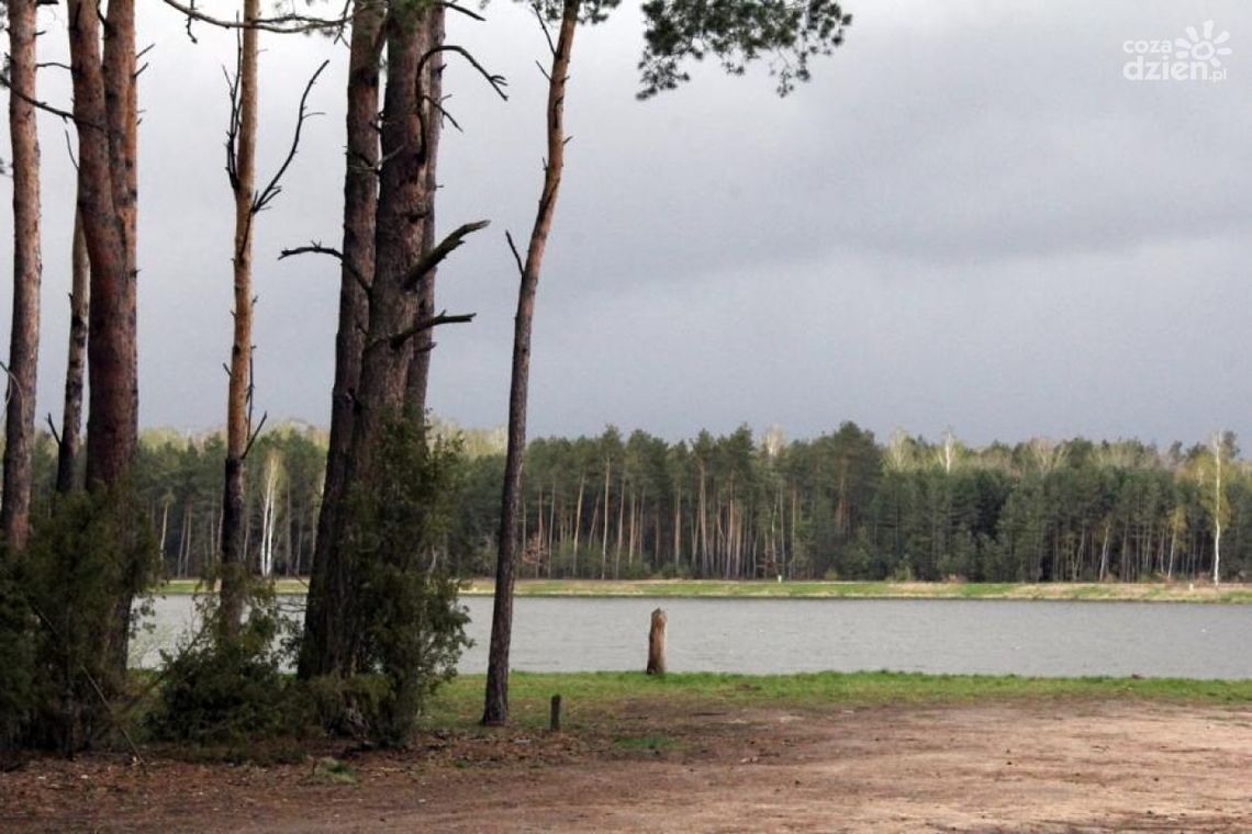 Co Za Jazda!. Oto trasa do Jagodna!