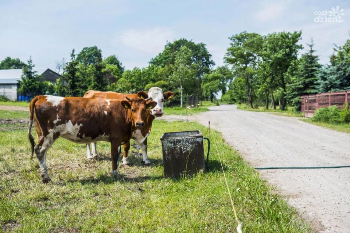 Co Za Jazda! Oto trasa do Szydłowca! Co Za Jazda! Oto trasa do Szydłowca!