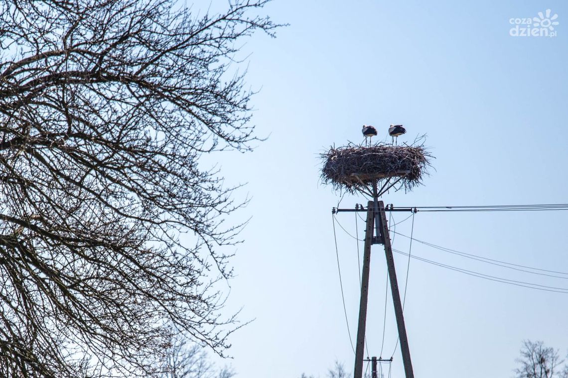 Co Za Jazda! Skaryszew - poznajcie trasę