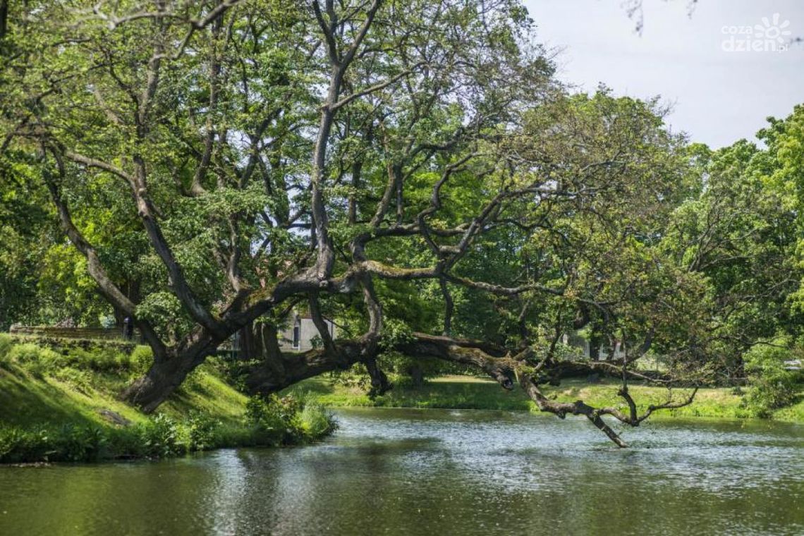 Co Za Jazda! Szydłowieckie piękno Co Za Jazda! Szydłowieckie piękno
