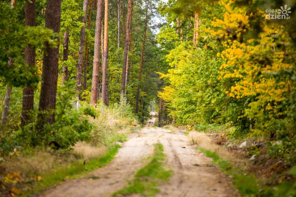Co Za Jazda! Ultra. Rekordowo na 106,2 km Co Za Jazda! Ultra. Rekordowo na 106,2 km
