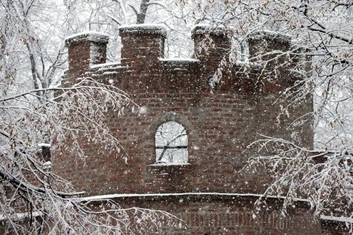 "Co za spacer". Zima w parku im. T. Kościuszki