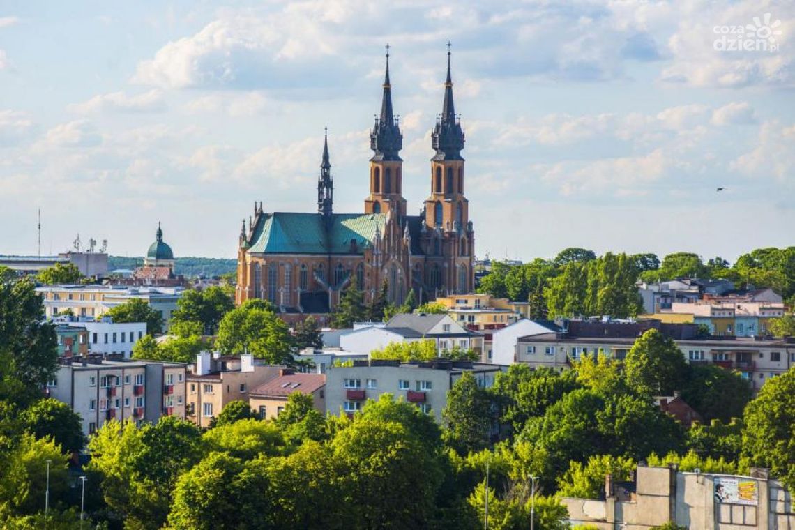 Co Za Widok: Radoskór