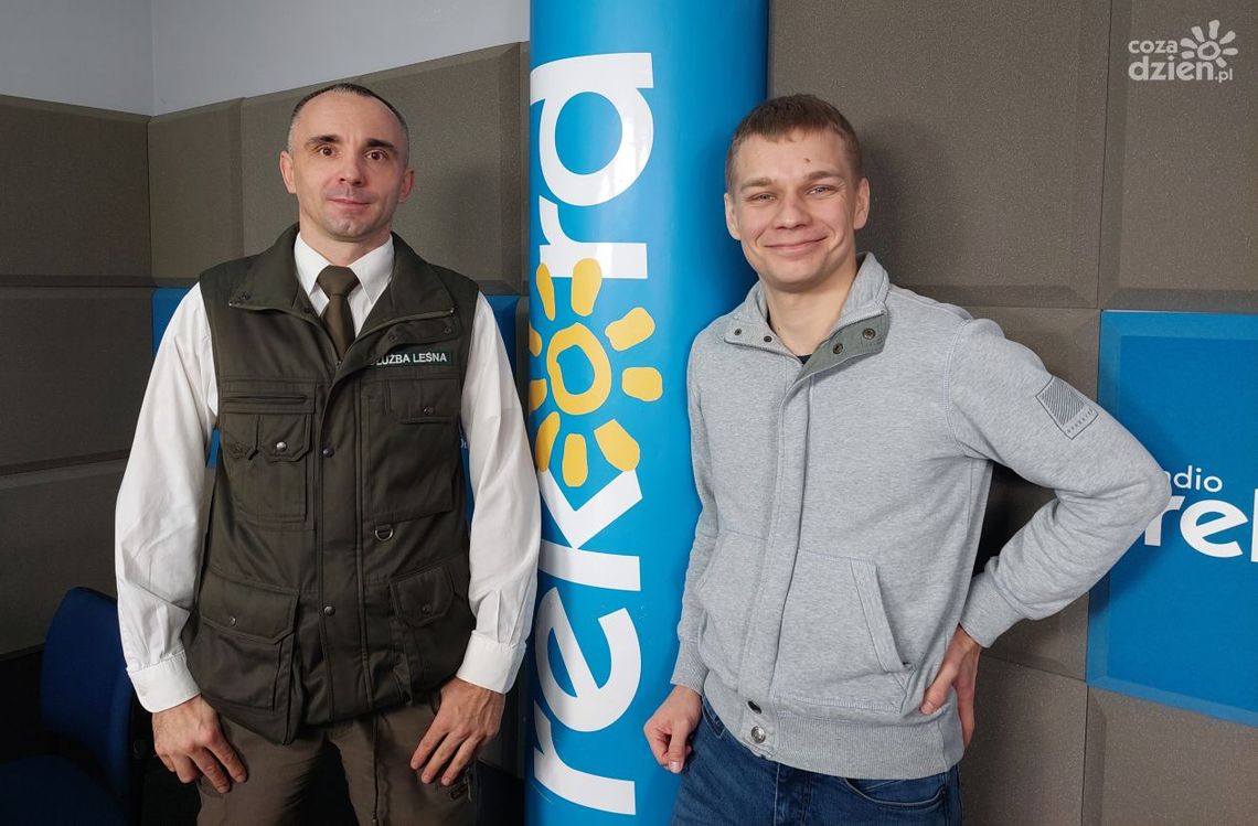 Co zrobić z choinką po świętach?