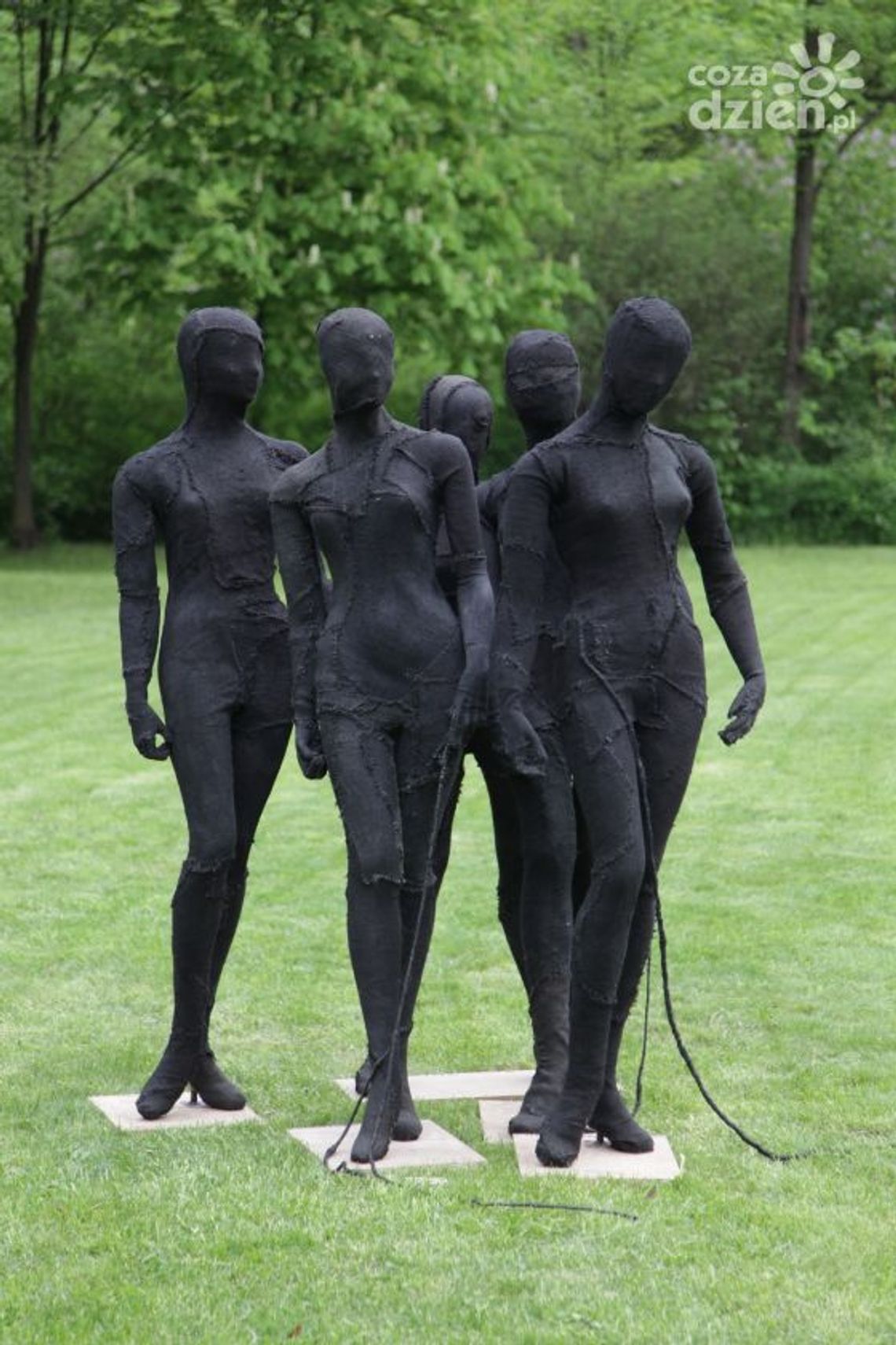 CRP w Orońsku wśród najlepszych galerii w Polsce!