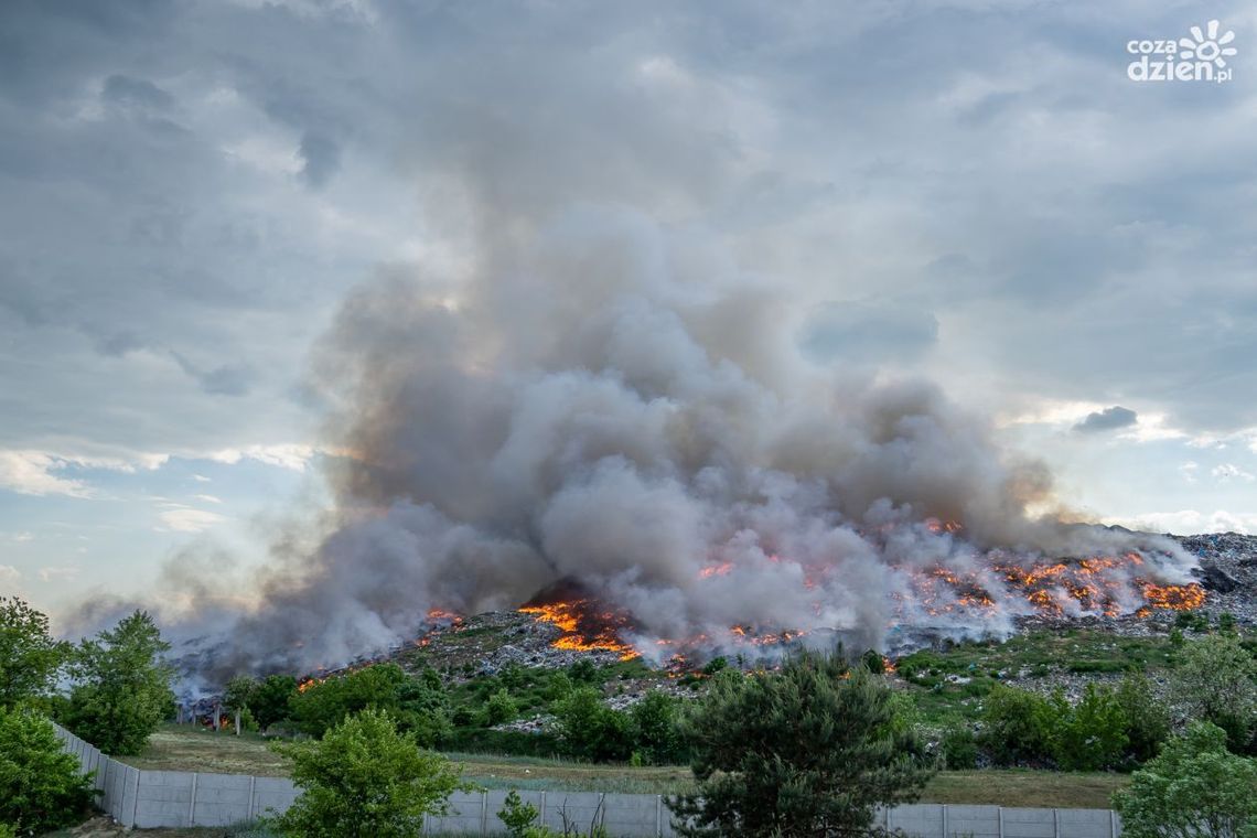 Czarna seria pożarów wysypisk. ABW wkracza