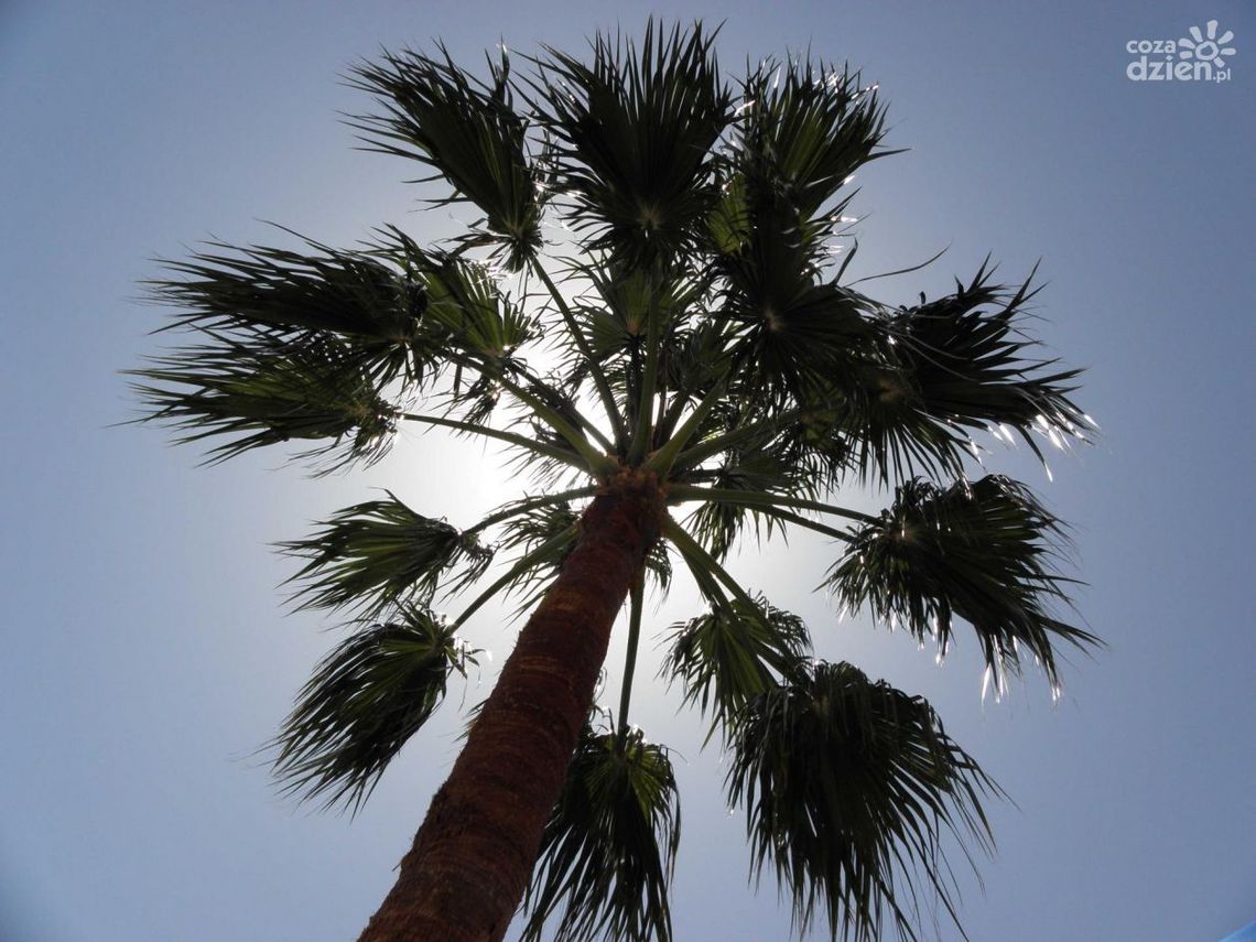 Czas zaplanować urlop - jakie  kierunki są modne?