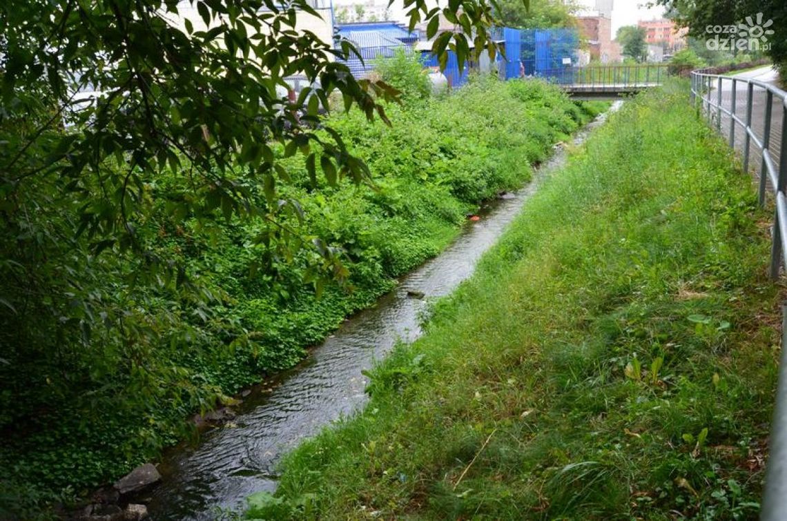Czemu Mleczna śmierdzi? Czemu Mleczna śmierdzi?