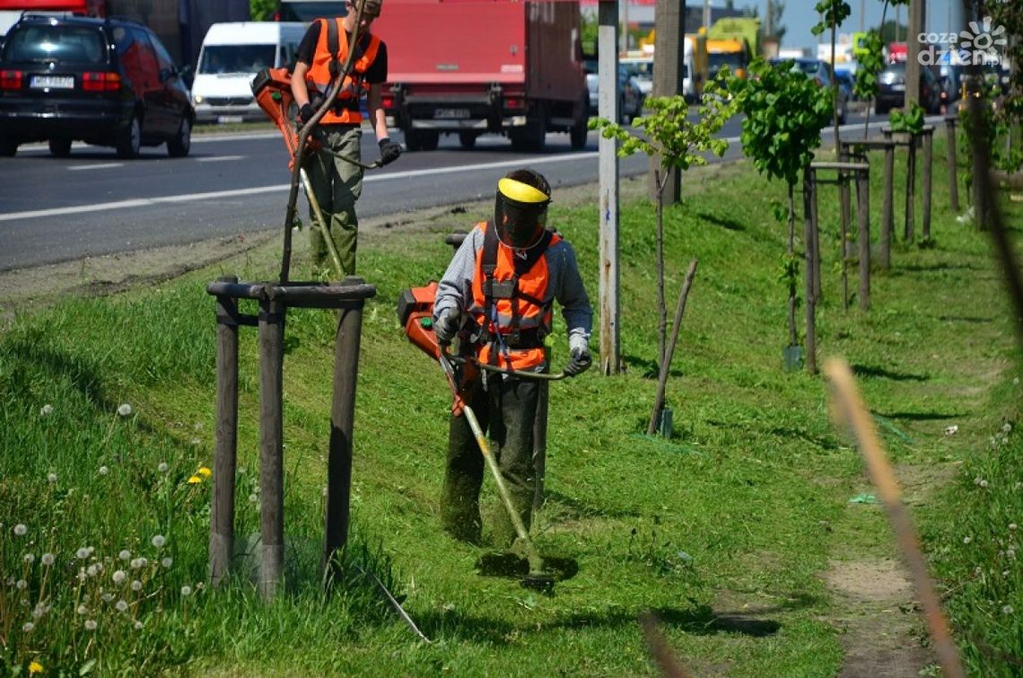 Cztery fimy będą kosić trawniki wzdłuż dróg i chodników