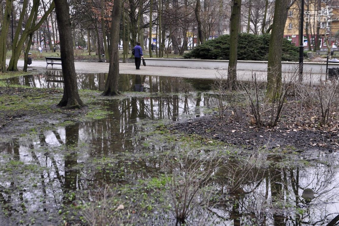 Czy alejki w Parku Kościuszki zostaną utwardzone?