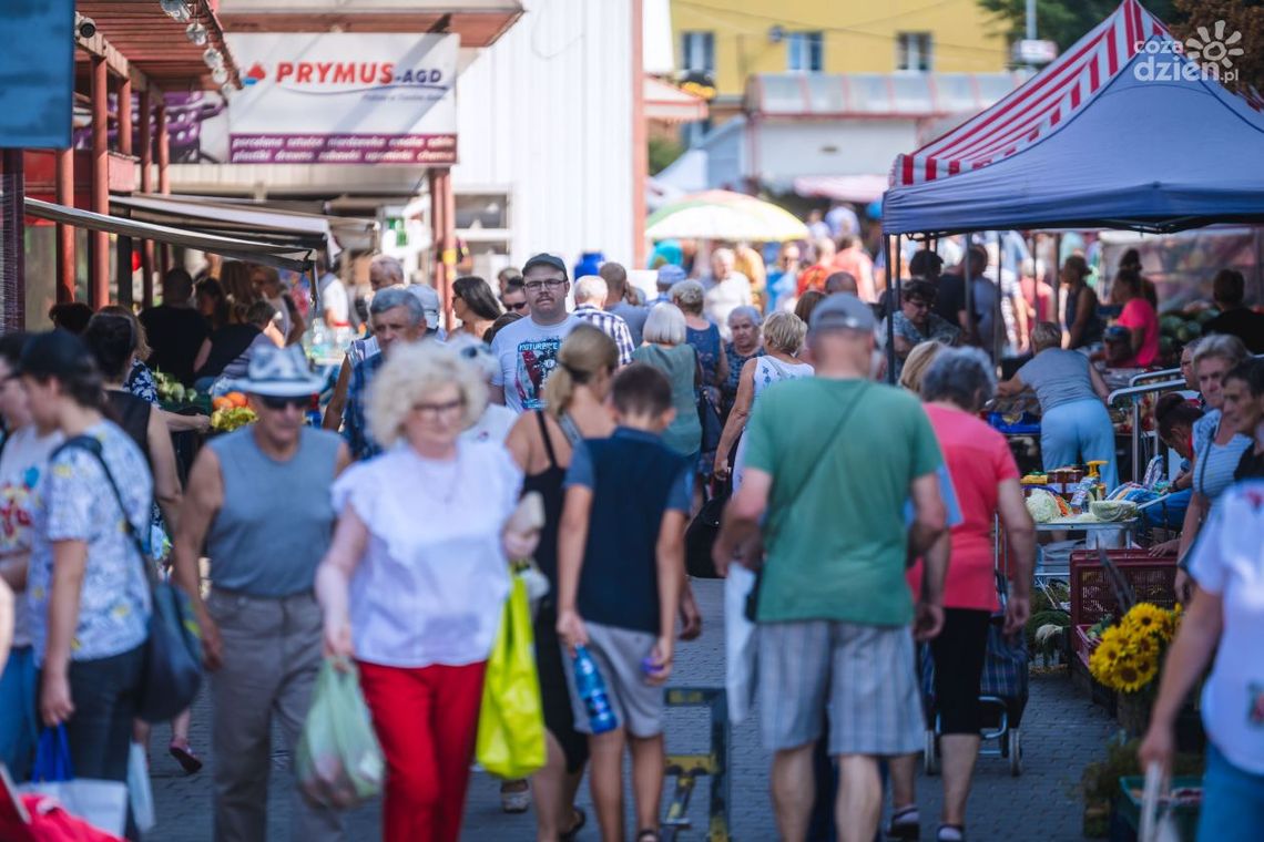 Czy dziś jest niedziela handlowa? Sprawdź! Czy dziś jest niedziela handlowa? Sprawdź!