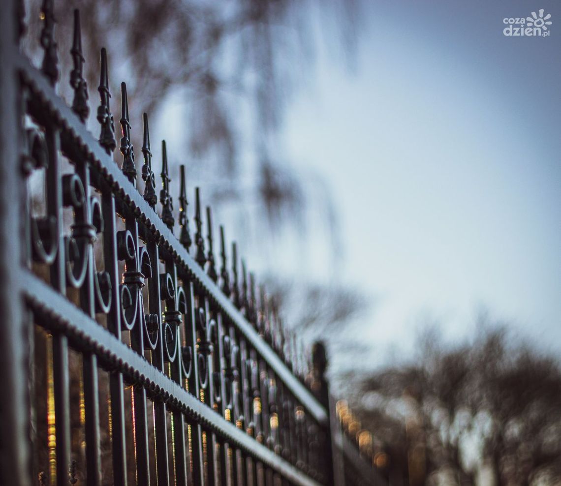 Czy ogrodzenia aluminiowe Euro Płot to przyszłość architektury zewnętrznej?