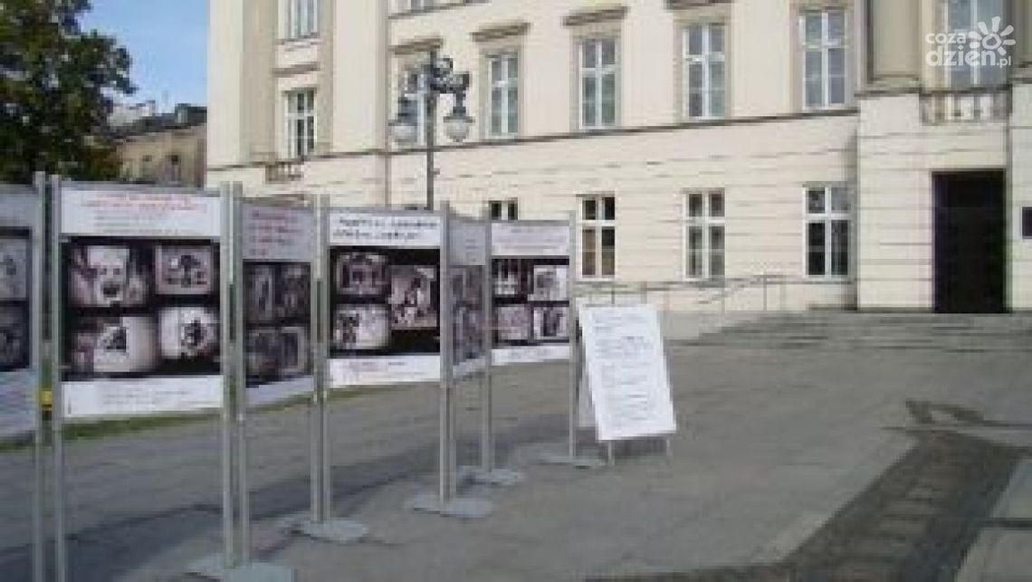 Czy wystawa zachęci do adopcji? Czy wystawa zachęci do adopcji?