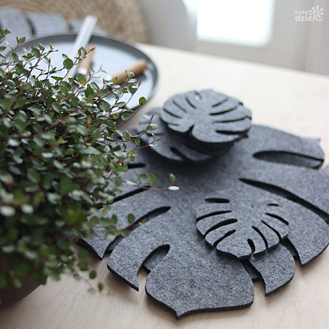 Czym są podkładki filcowe?