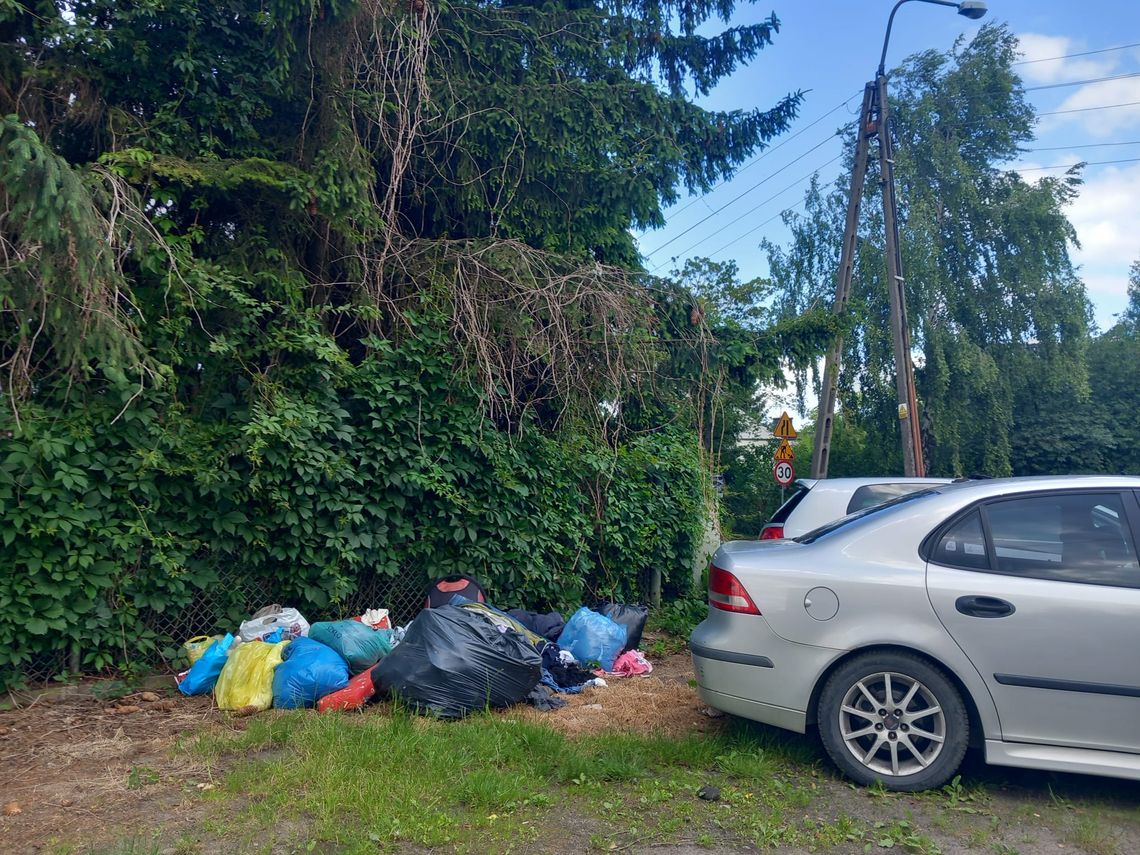 Czyste miasto to nasza wspólna odpowiedzialność – apel MZDiK do radomian Czyste miasto to nasza wspólna odpowiedzialność – apel MZDiK do radomian