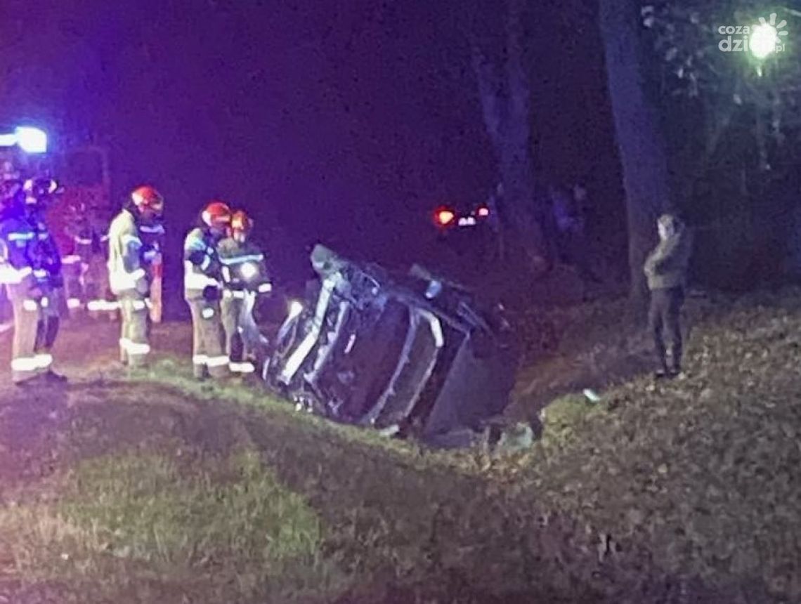 Dachowanie w Klwatce Królewskiej Dachowanie w Klwatce Królewskiej