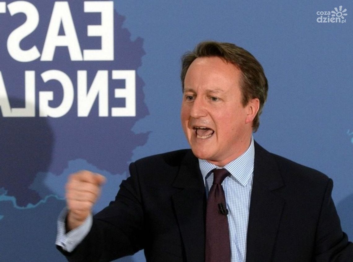 DAVID CAMERON LUBI MARTWE ŚWINIE?