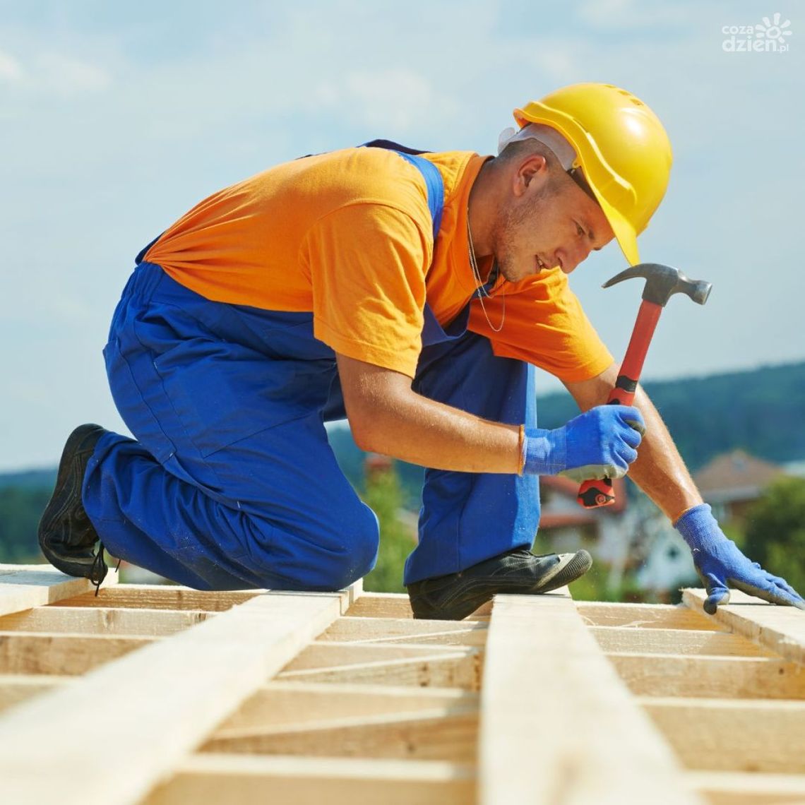 DEKARZ – najbardziej opłacalny zawód przyszłości!