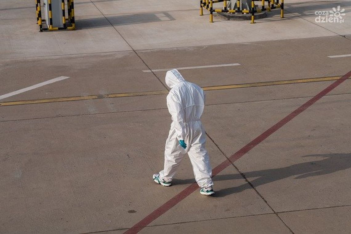 Deratyzacja Radom – jak wybrać specjalistów?