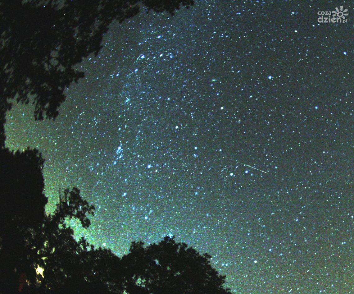 Deszcz meteorów. Czy Radom wyłączy światła?