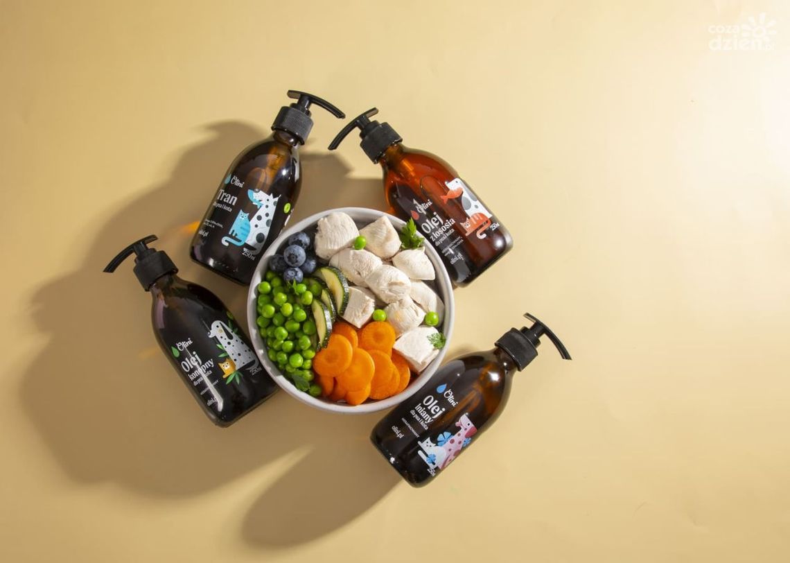 Dieta dla psa i kota – czy oleje mogą poprawić ich zdrowie?