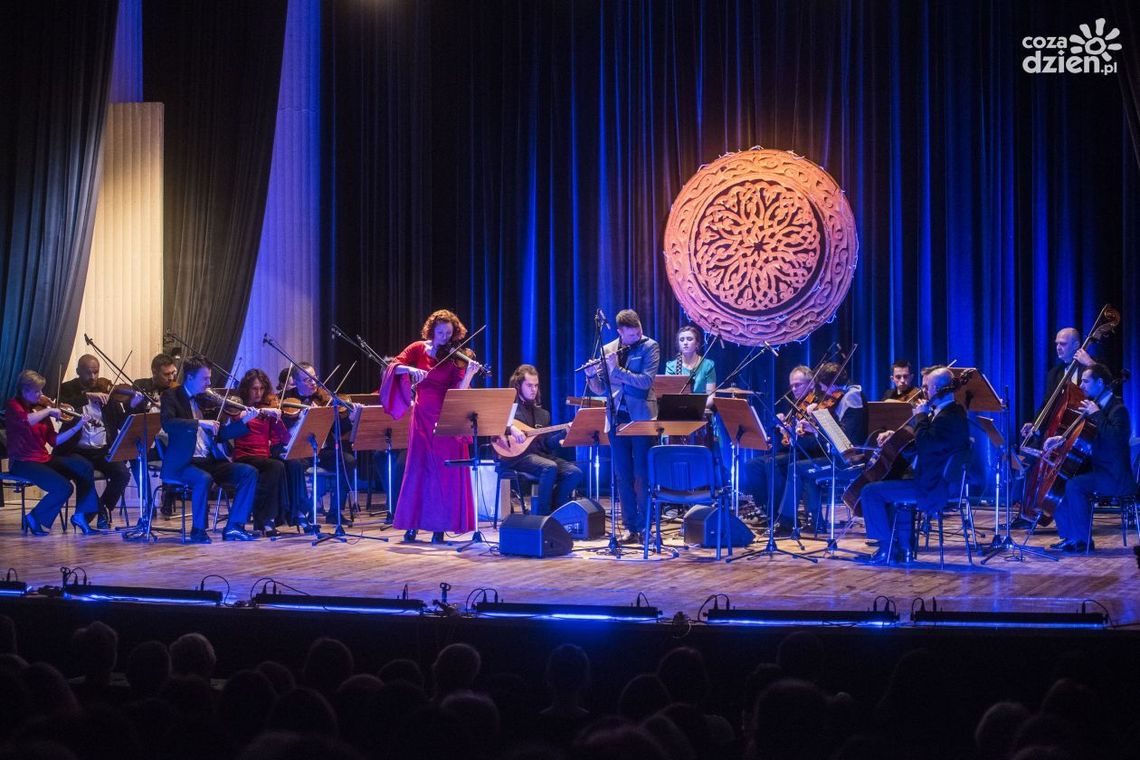 Discovery & Movie Discovery & Movie