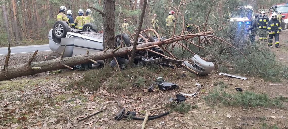 DK48. Dachowanie w gminie Wyśmierzyce