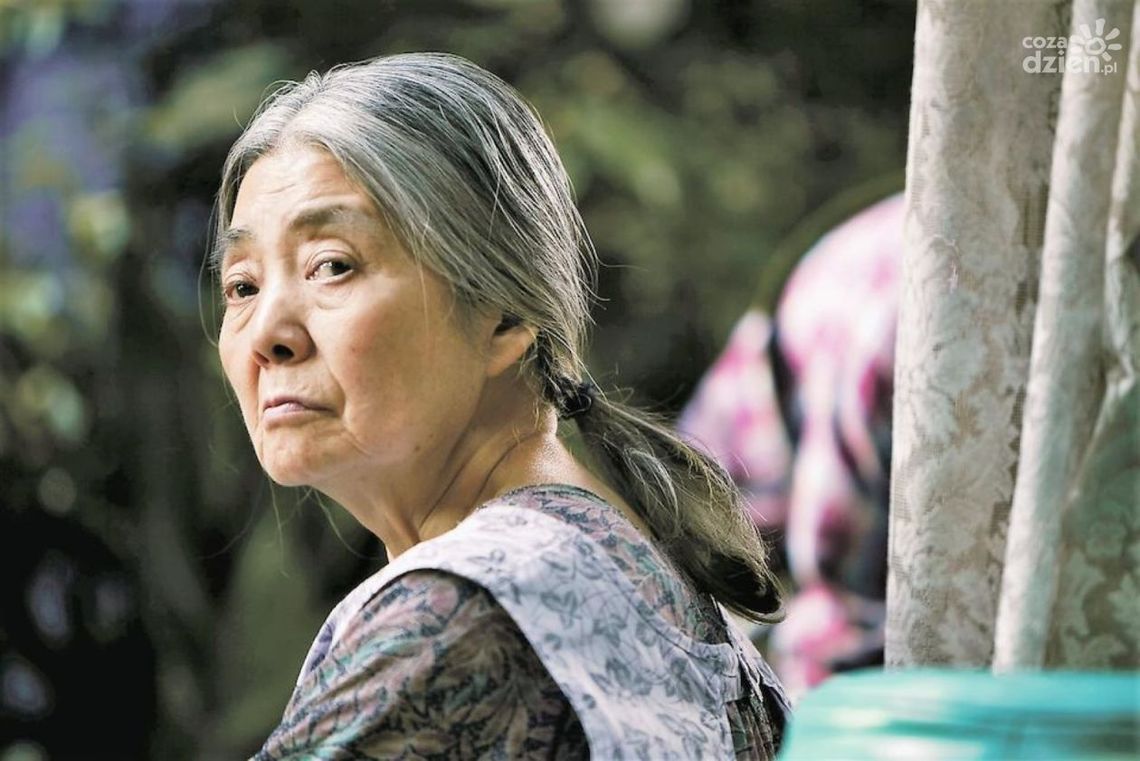 DKF: "Złodziejaszki" DKF: "Złodziejaszki"