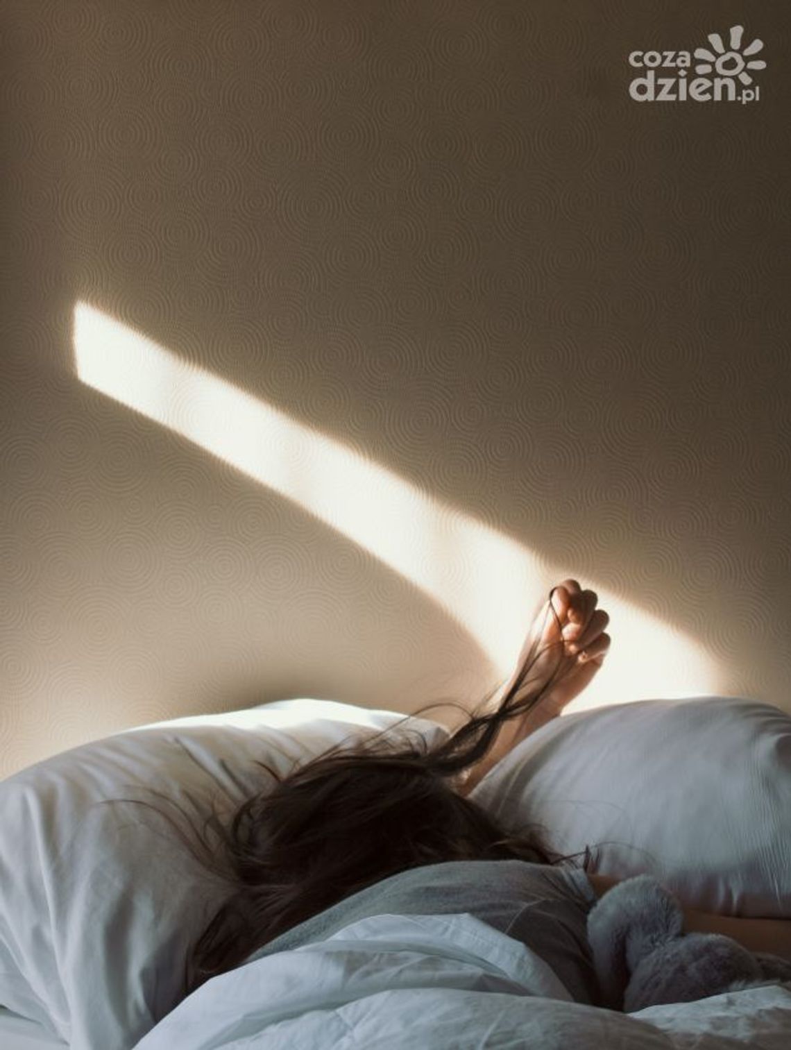 Dla kogo najlepsze są materace sprężynowe kieszeniowe? Dla kogo najlepsze są materace sprężynowe kieszeniowe?