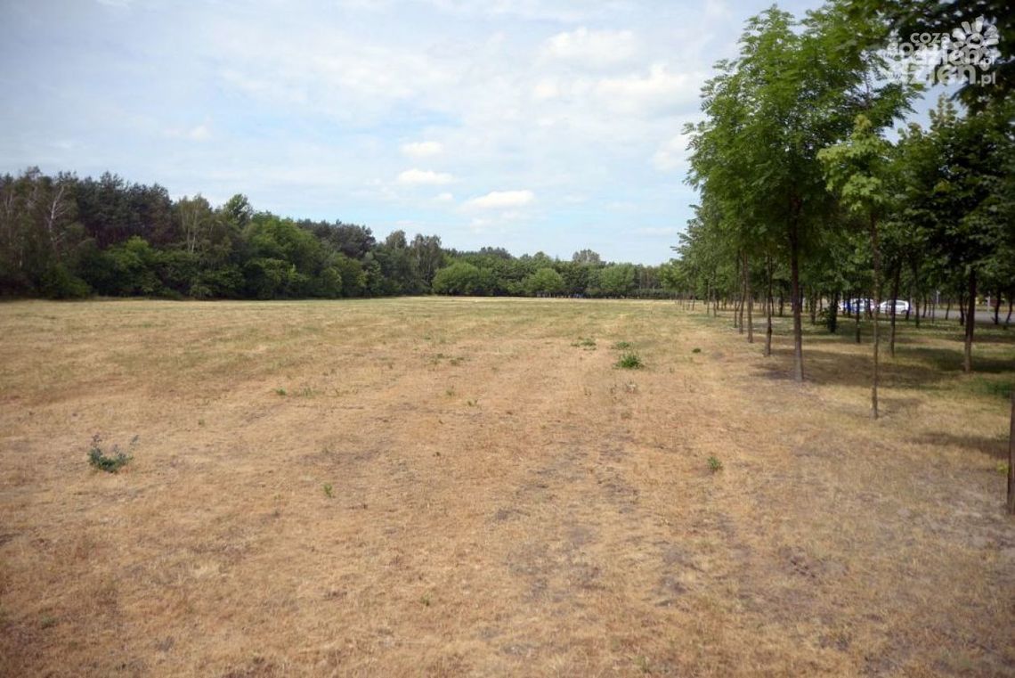 Dlaczego cmentarz dla zwierząt nie powstał? Dlaczego cmentarz dla zwierząt nie powstał?