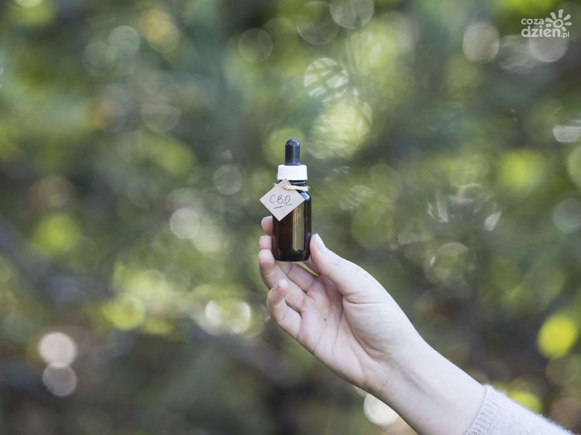 Dlaczego olejek CBD nie działa? 3 najczęstsze powody