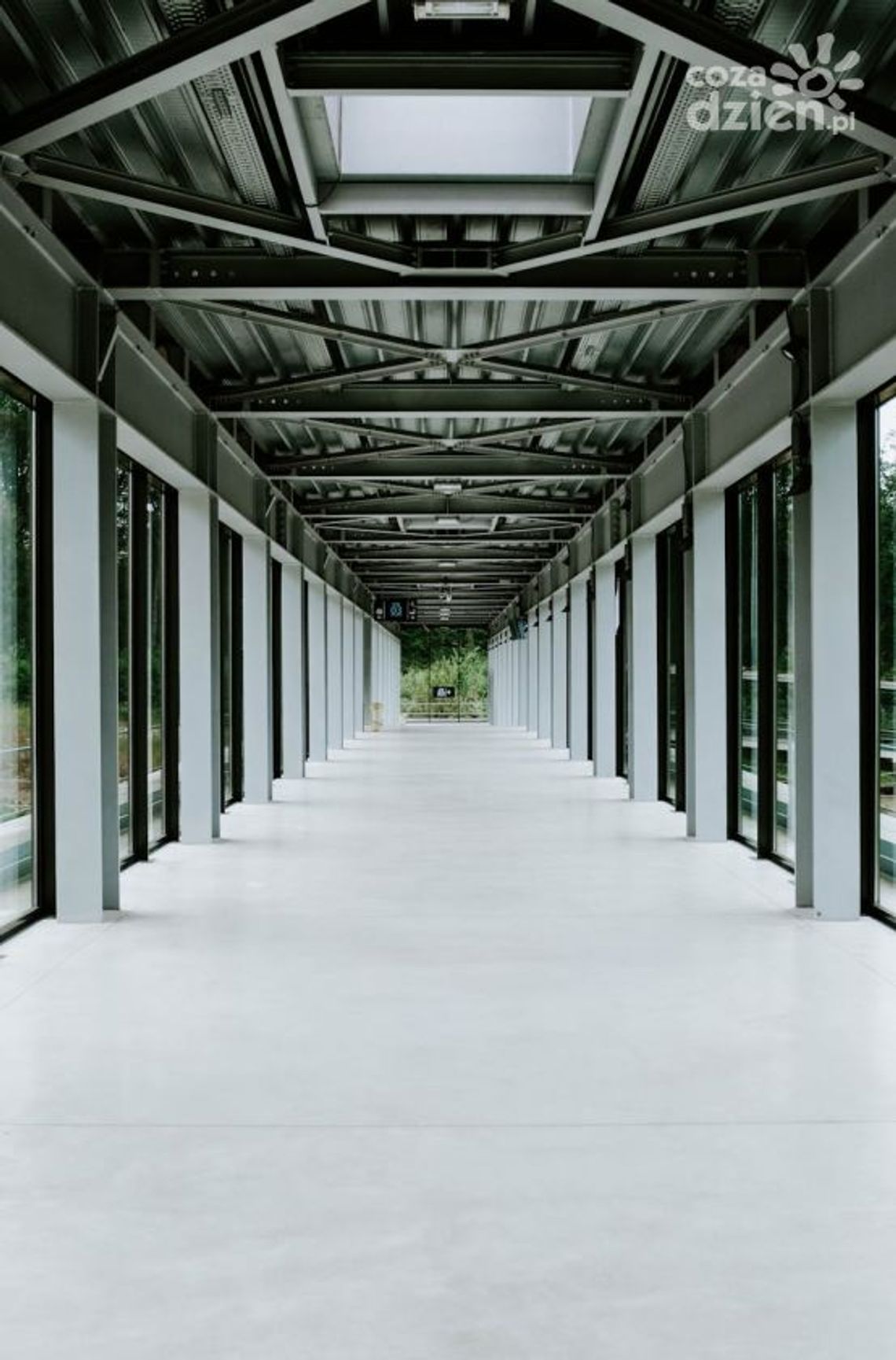 Dlaczego warto zainwestować w profesjonalne czyszczenie podłóg?