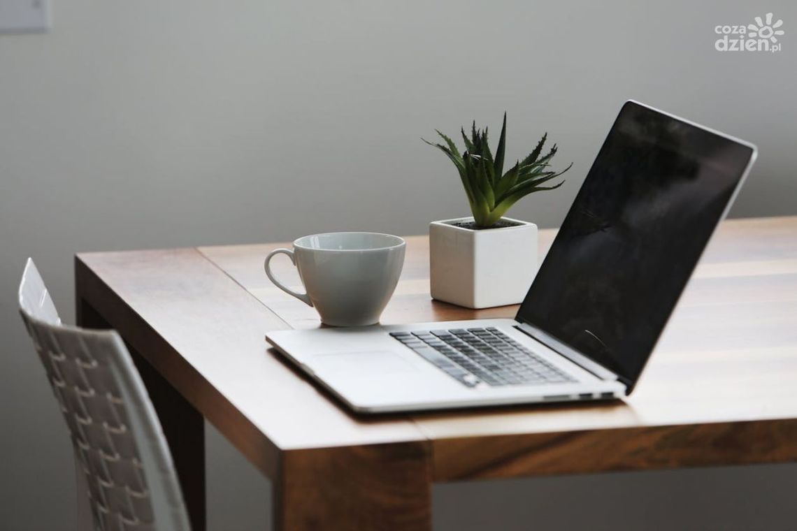 Dlaczego wybór odpowiedniego hostingu jest tak istotny?